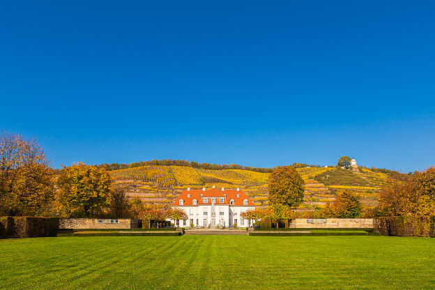 Schloss Wackerbarth mit Weinbergen und Jacobstein in Radebeul