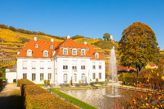 Schloss Wackerbarth mit Weinbergen und Jacobstein in Radebeul