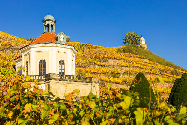 Schloss Wackerbarth mit Weinbergen und Jacobstein in Radebeul