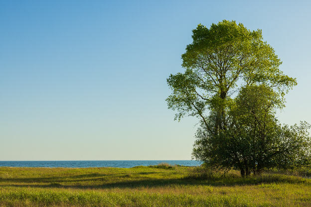 Pfingsten in Zingst an der Ostsee