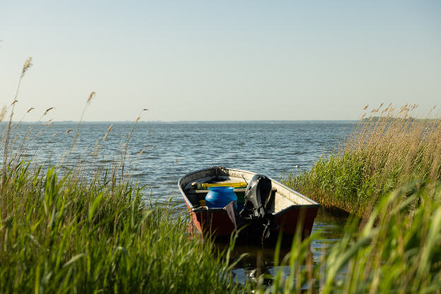 Pfingsten in Zingst an der Ostsee