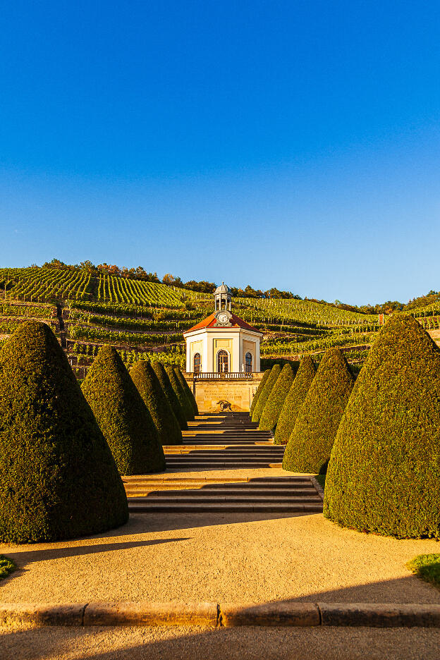 Schloss Wackerbarth Radebeul, Belvedere