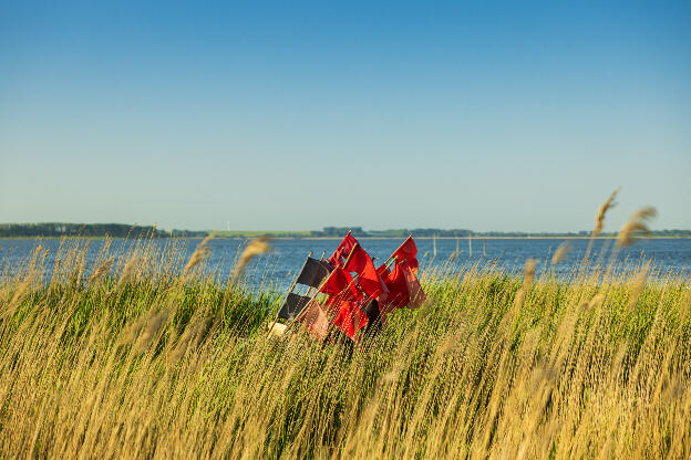 Pfingsten in Zingst an der Ostsee