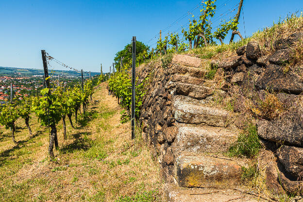 Steintreppen im Weinberg