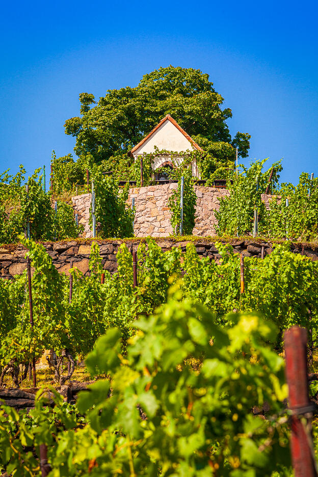 Weingut Mariaberg Meißen