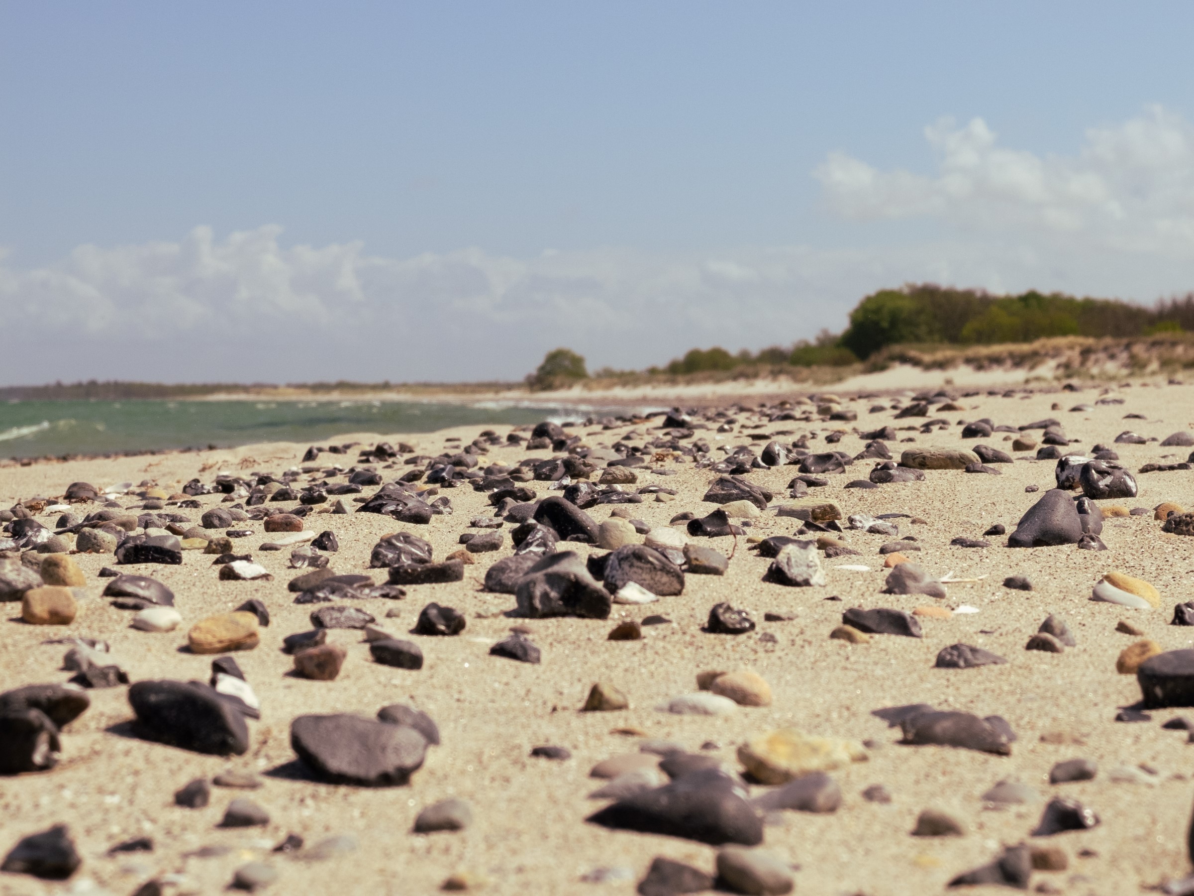 Ostseestrand im Sommer