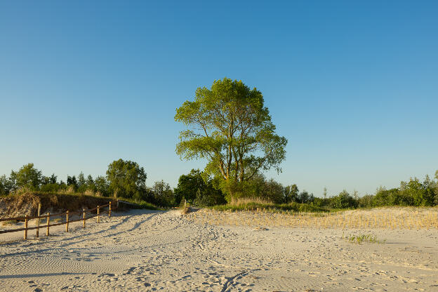 Pfingsten in Zingst an der Ostsee