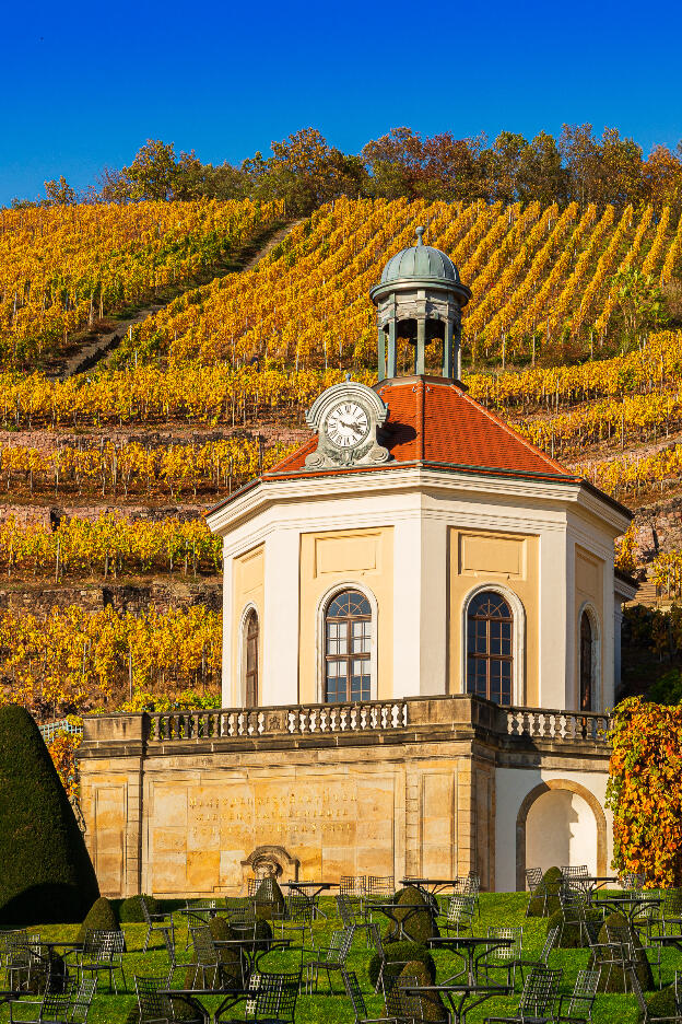 Schloss Wackerbarth mit Weinbergen und Jacobstein in Radebeul